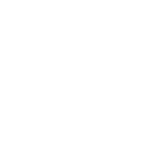 Philipp Plein logo