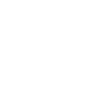 Balmain logo